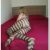 İstanbul Doyumsuz ve Sınırsız Escort Bayan Afet - Image 7